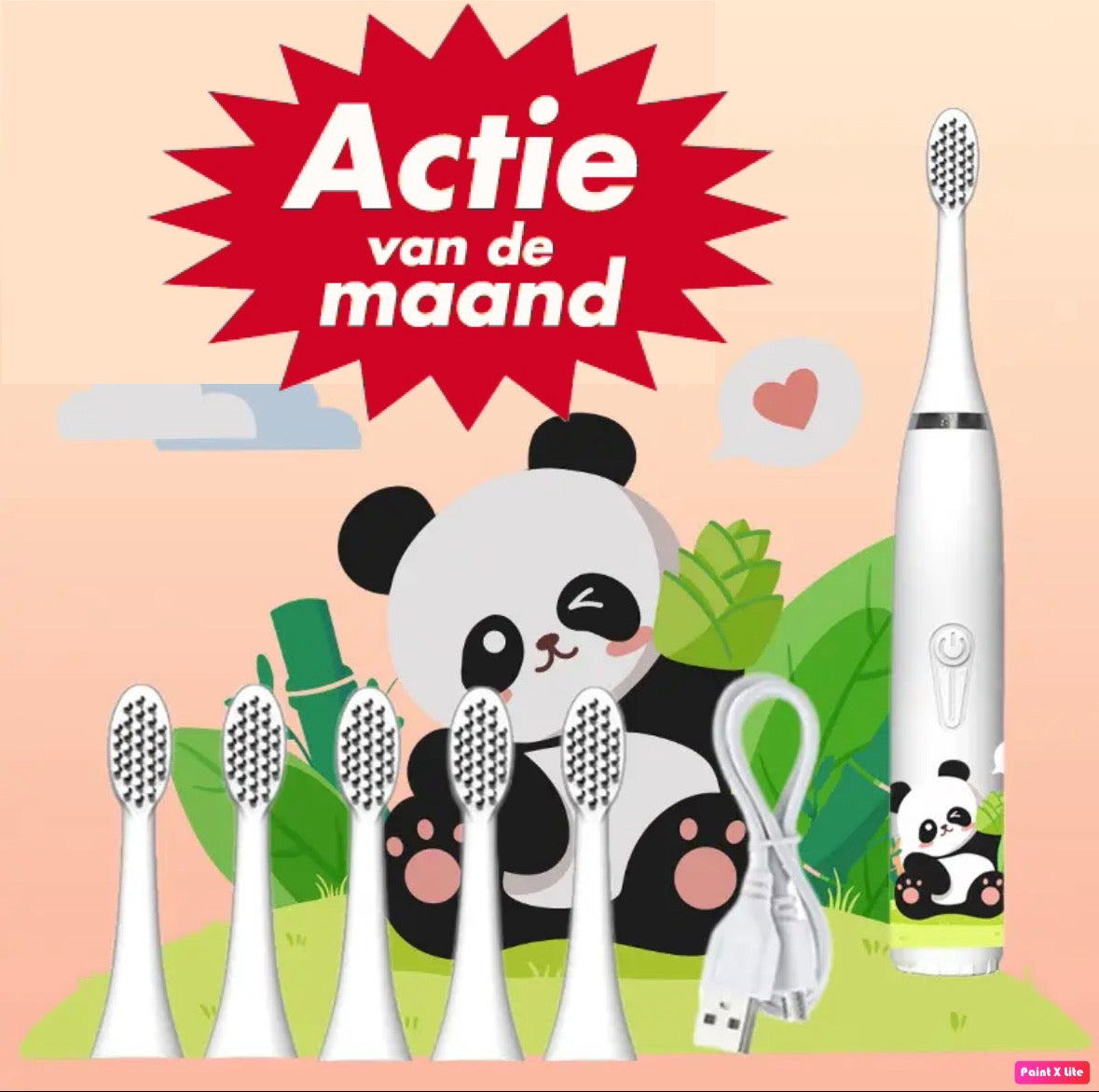 Elektrische Tandenborstel + 6 opzetborstels + USB lader